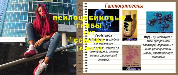 не бодяженный Армянск