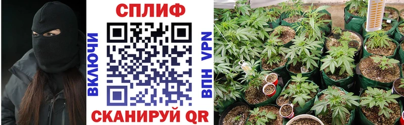 Марихуана тримм  купить наркоту  Суджа 